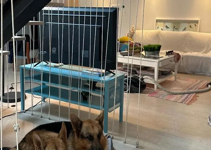 Casa Do Guarda Rios Villa